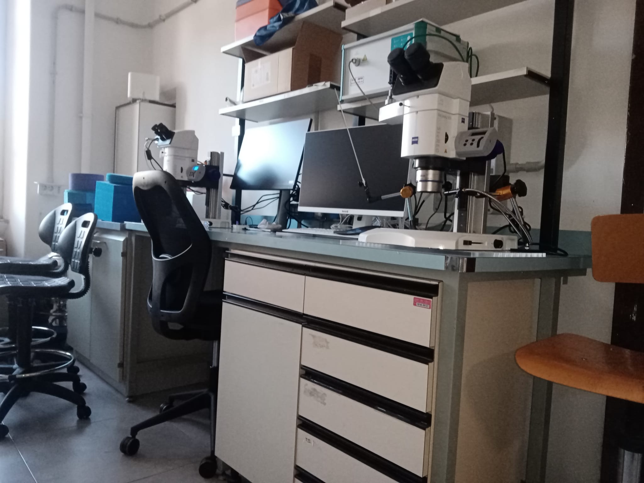 Biocrystal Facility_microscope_ANDREA ILARI