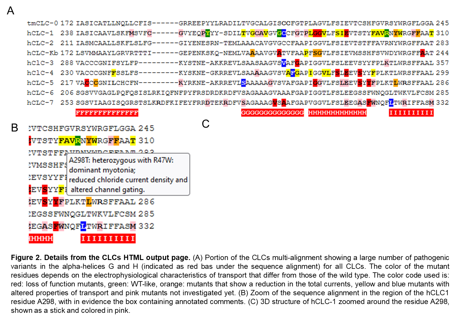 Picture2_MICHAEL PUSCH